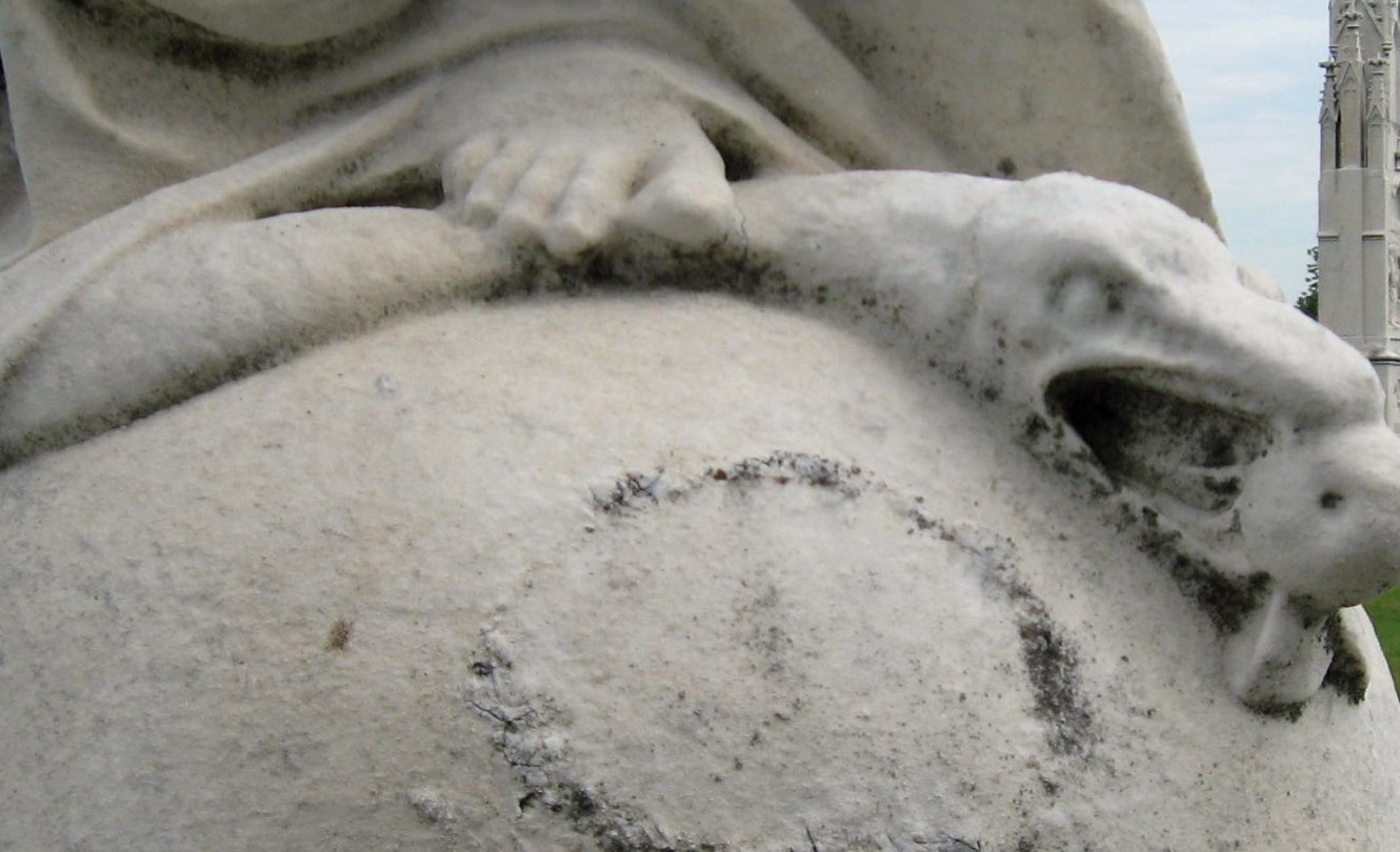 Раздавленная змея