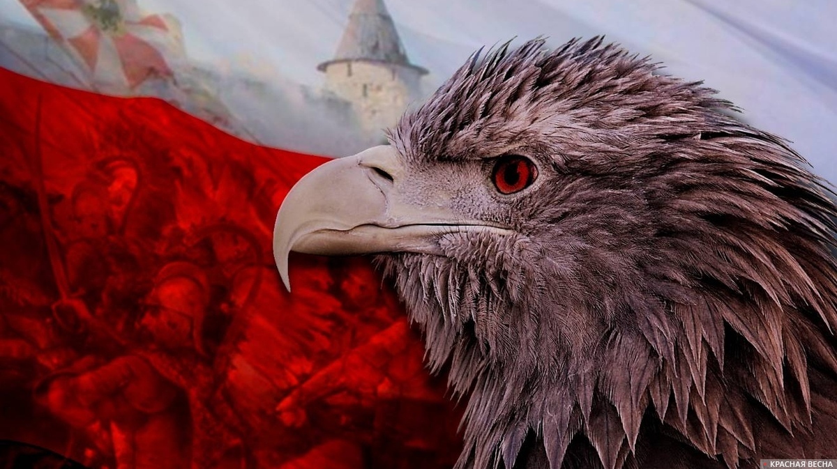 Польская агрессия
