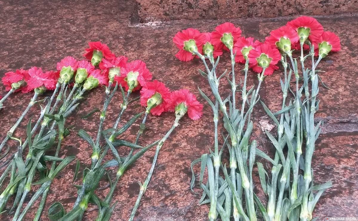 Цветы, гвоздики, возложить