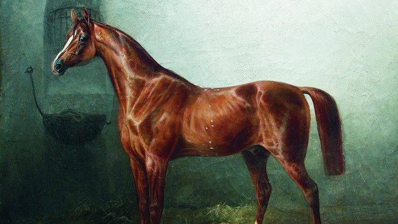 Николай Егорович Сверчков. Лошадь в стойле. 1817-1898