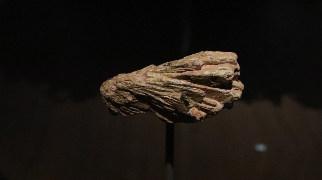 Образец редкоземельной руды