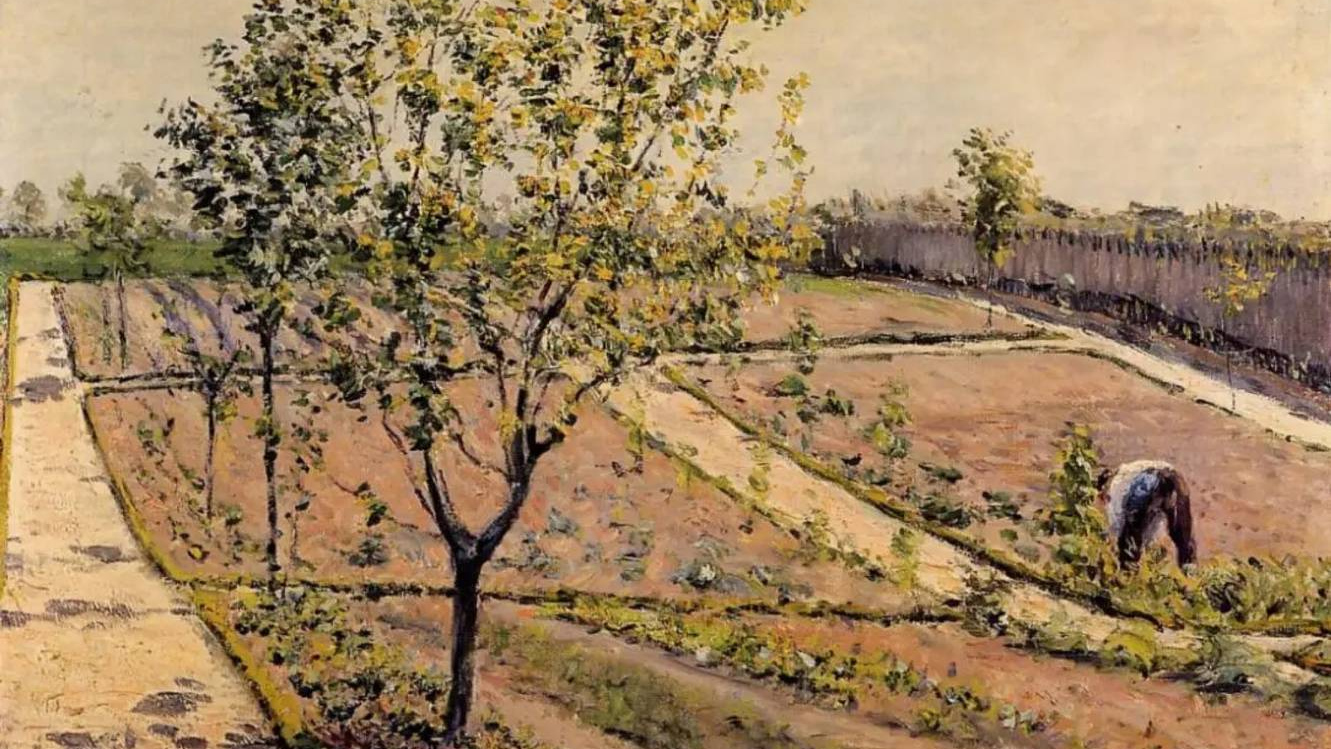 Гюстав Кайботт. Огород в Петит Женвильер (фрагмент). 1882