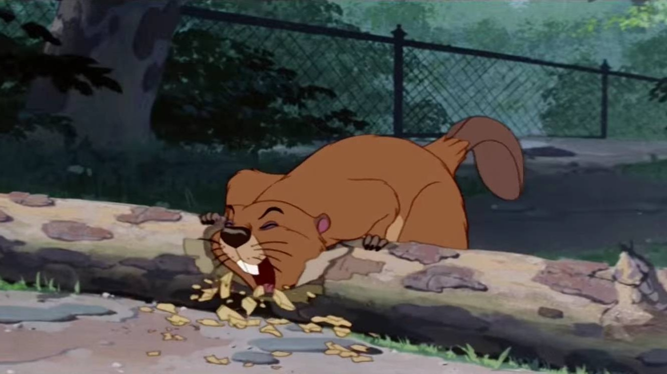 Бобер подгрызает дерево