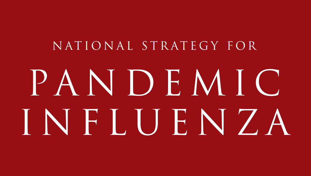 Стратегия борьбы с пандемией Министерства внутренней безопасности США
