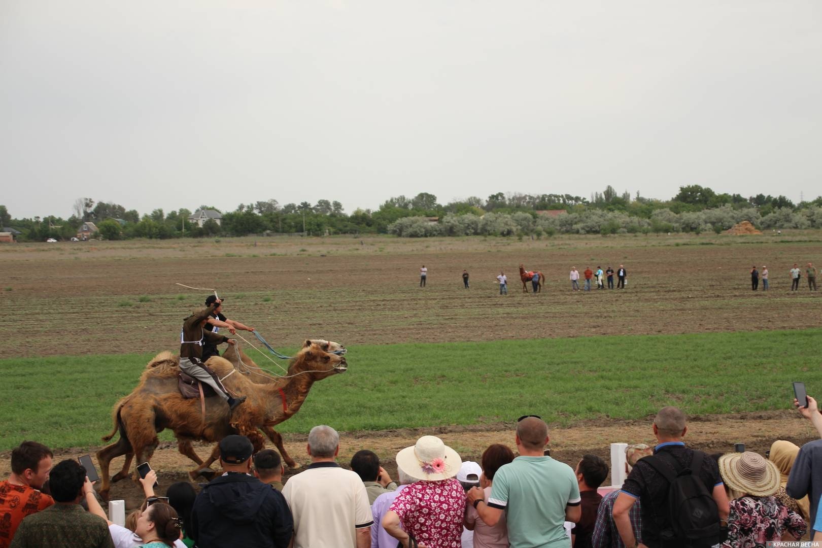 Сабантуй в Астрахани