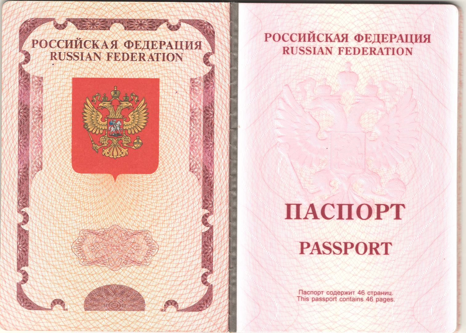 Биометрический паспорт. Россия