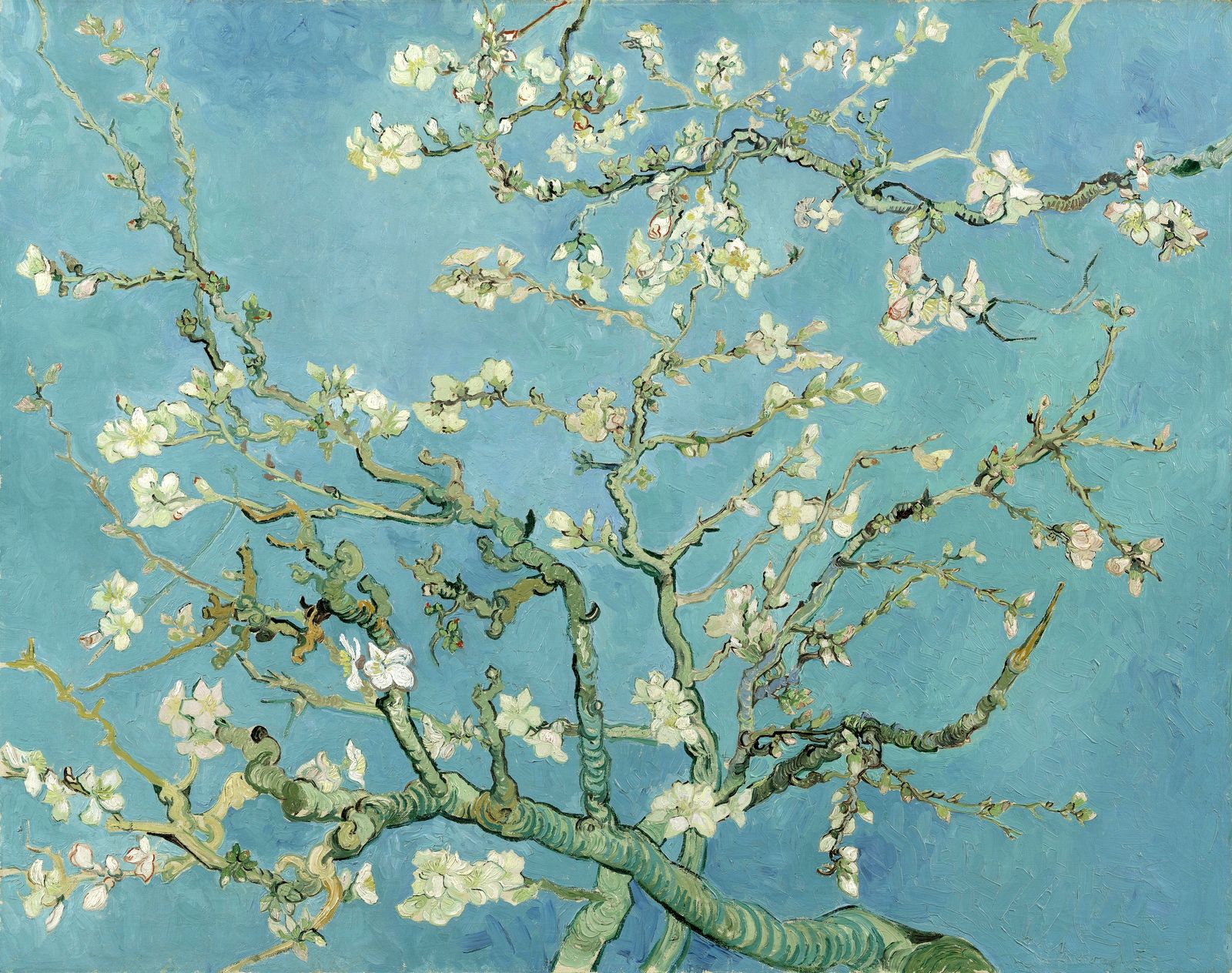 Винсент Ван Гог. Цветущие ветки миндаля. 1890