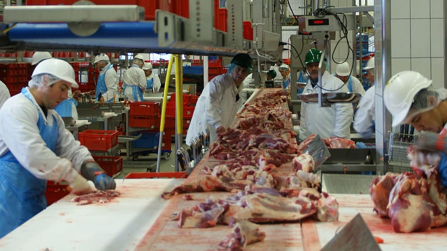 Производство мяса