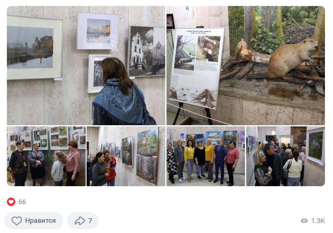 Выставки  «Два взгляда в одну сторону» и «Животные строят» в Калининградском историко-художественном музее