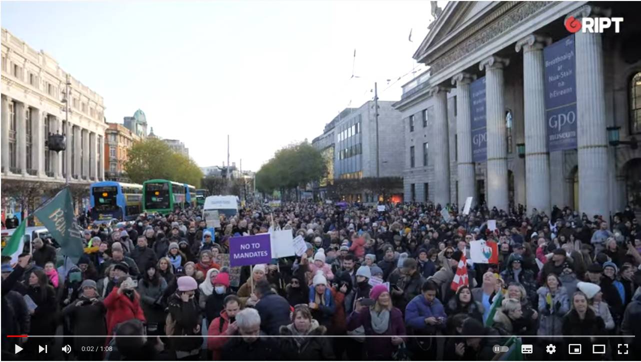 Цитата из трансляции протестной акции в Дублине 27 ноября пользователя Ript Media в youtube