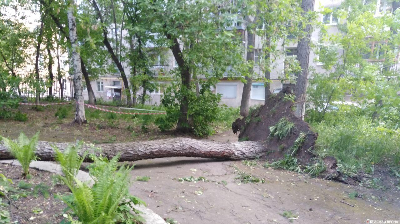 Последствия урагана в Екатеринбурге 25.05.2020
