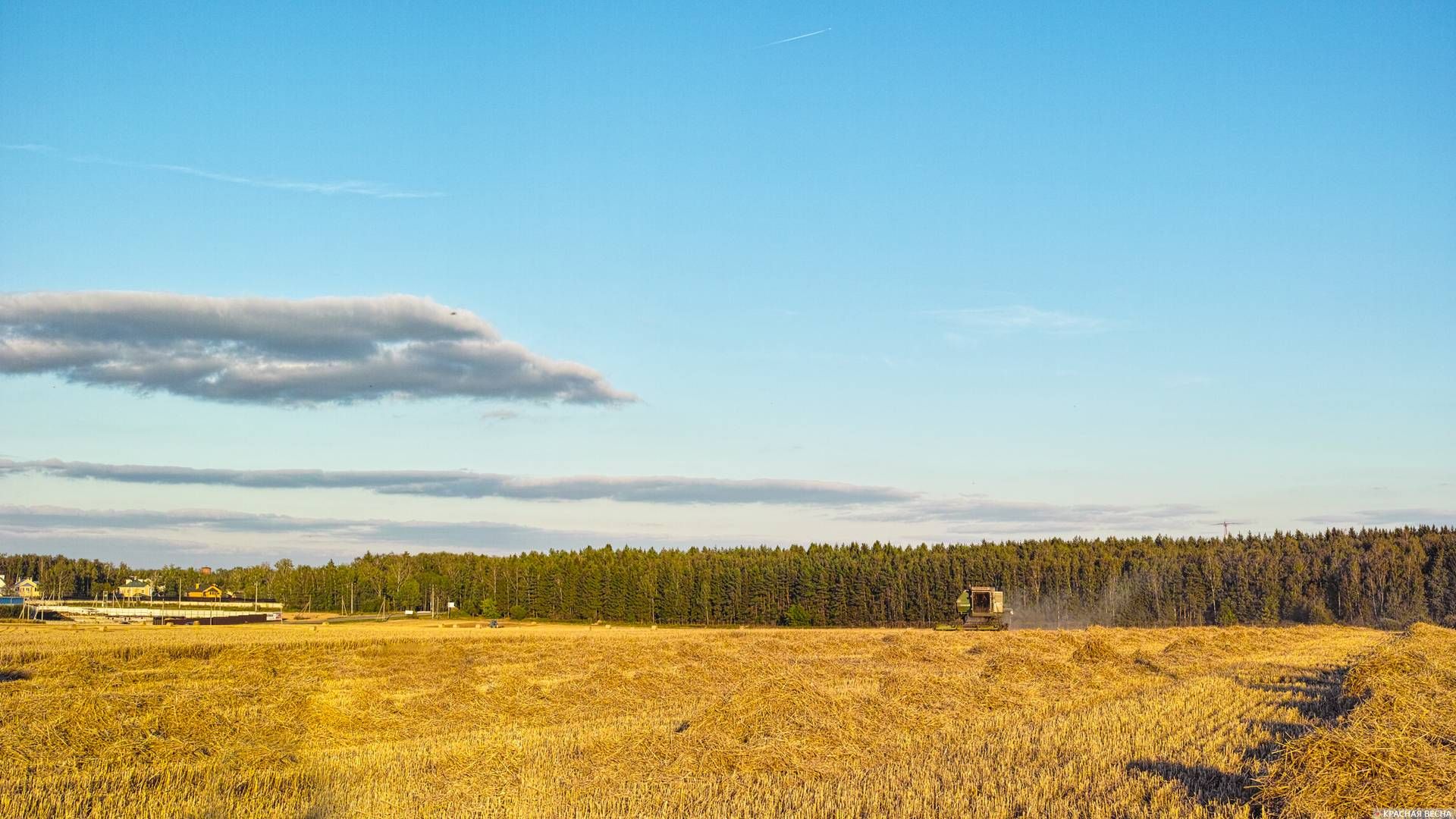 Поле