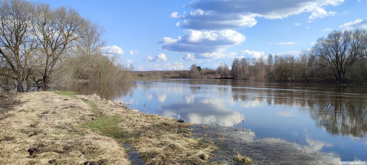 Смоленск. Район пос. Гнездово. Разлив реки Днепр.