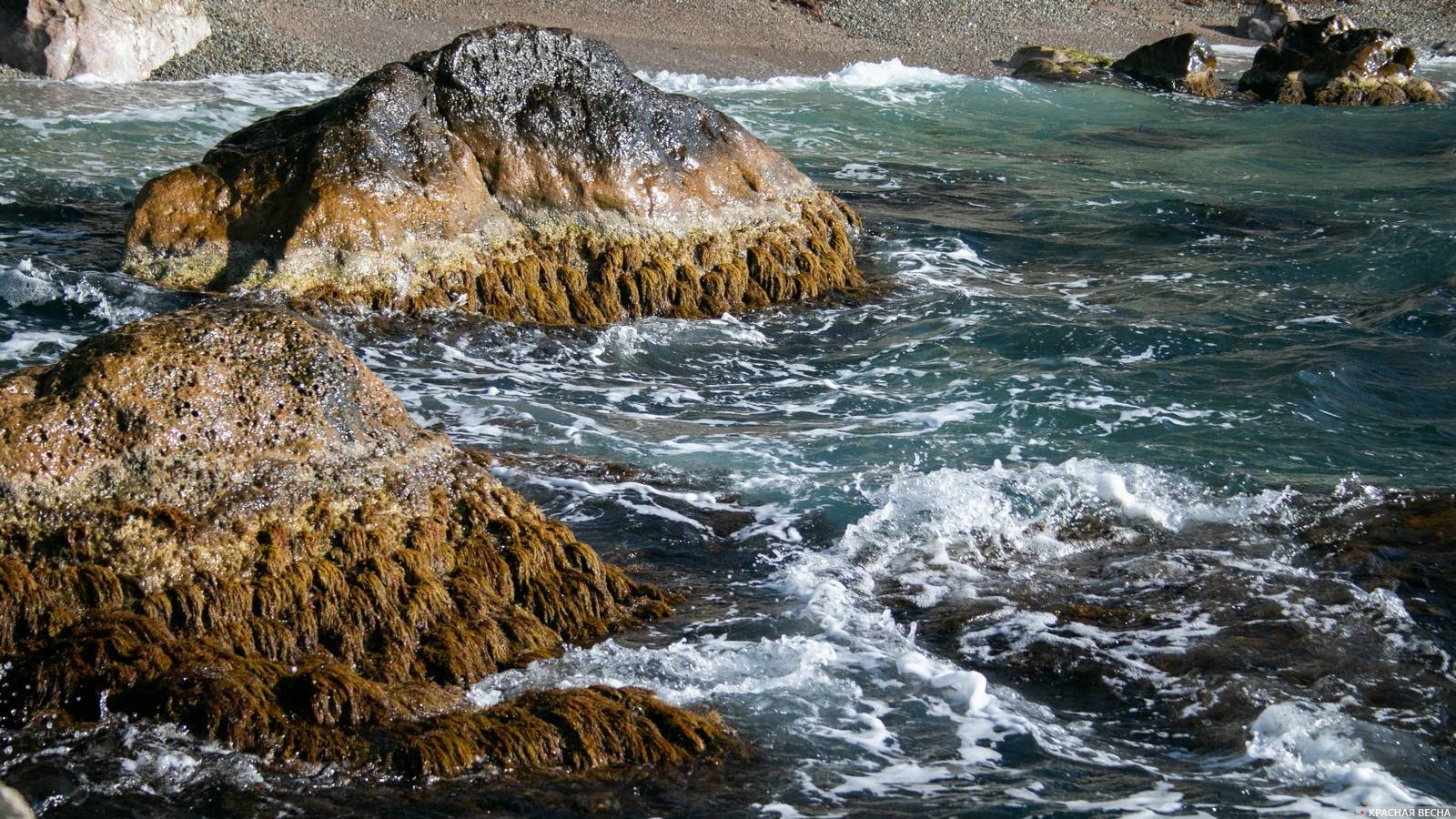 Почему сейчас вода в черном море холодная. Вода на черном море холодная. 29 Сентября моря.