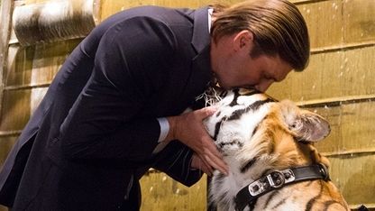 Для «братьев меньших»