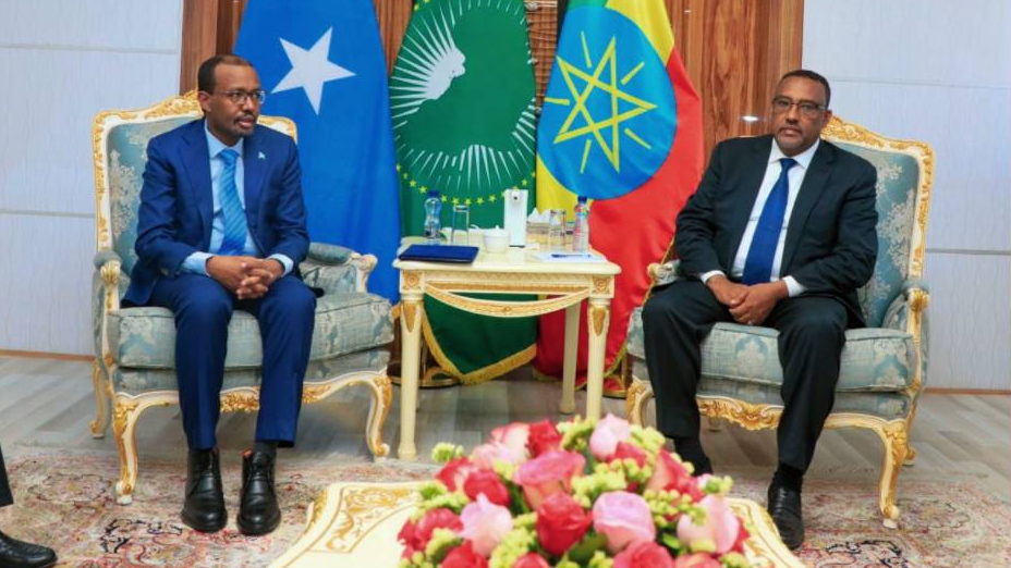 Главы МИД Эфиопии и Сомали Демеке Меконнен и Абдисаида Мусе Али