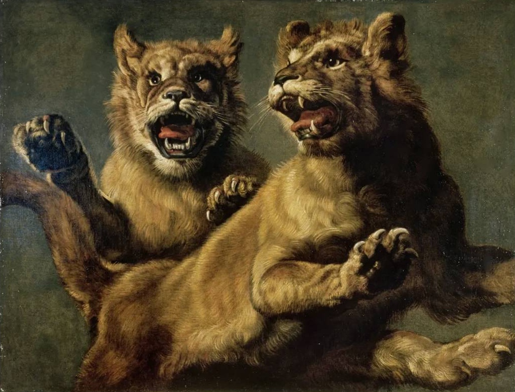 Франс Снейдерс. Львы. 1630