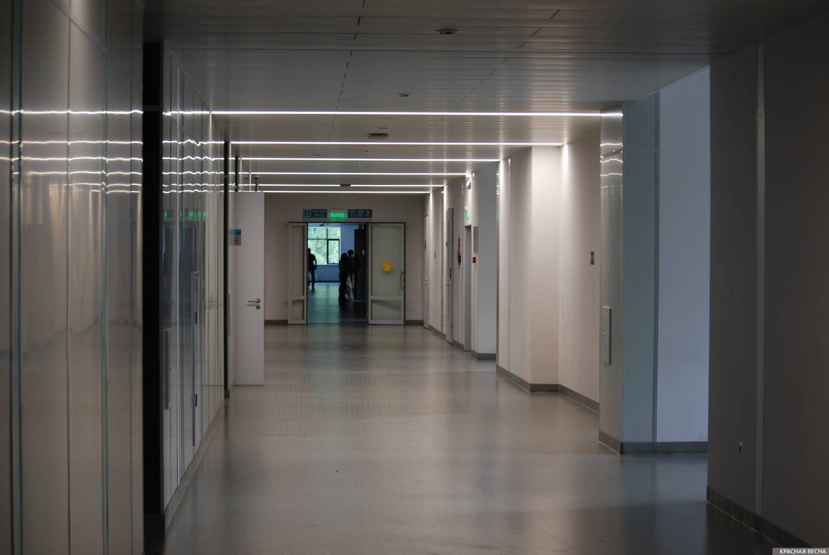 Пустые коридоры НГУ