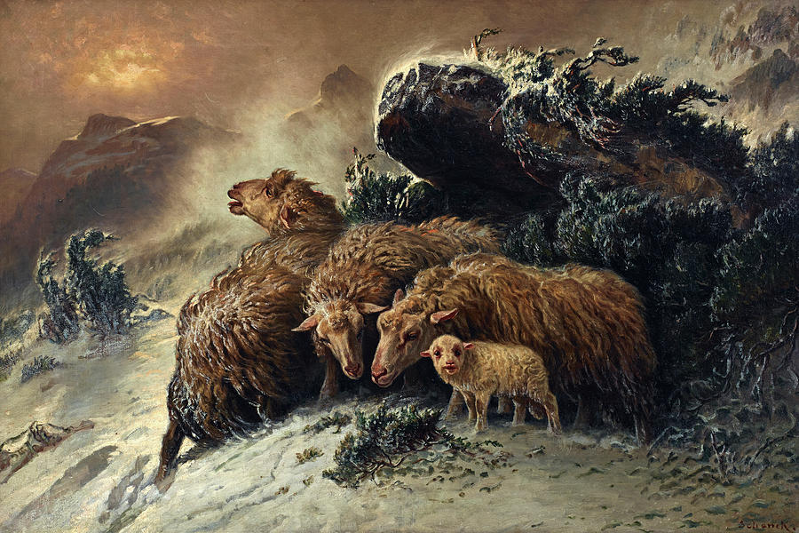 Август Шенк. Овцы в буран