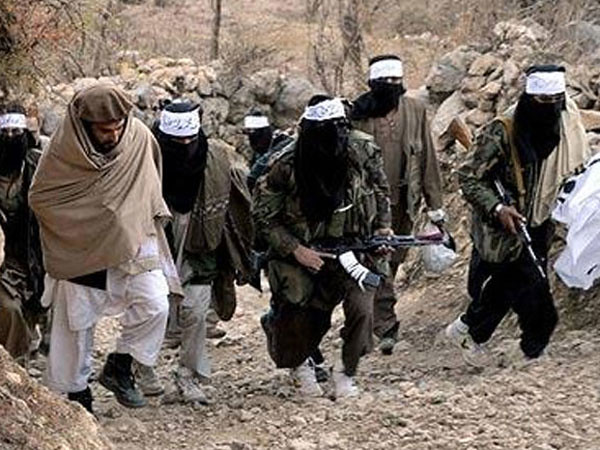 Движении «Талибан» (организация, деятельность которой запрещена в РФ)