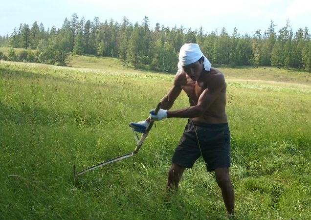 В Якутии состоялся чемпионат по ручному сенокошению