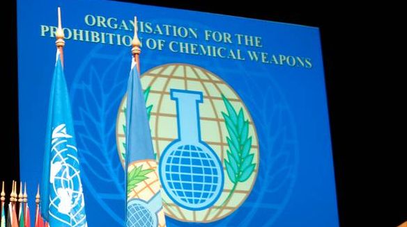 ООН и Организация по запрещению химического оружия (ОЗХО)