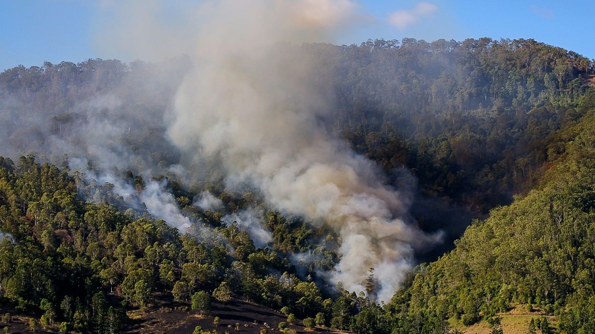 Австралия. Лесной пожар