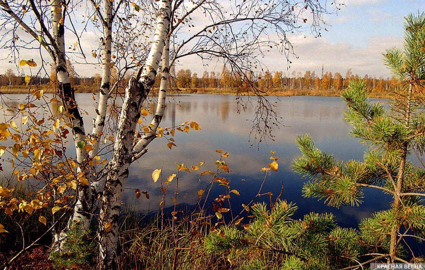 Осень. Озеро. Тверская область