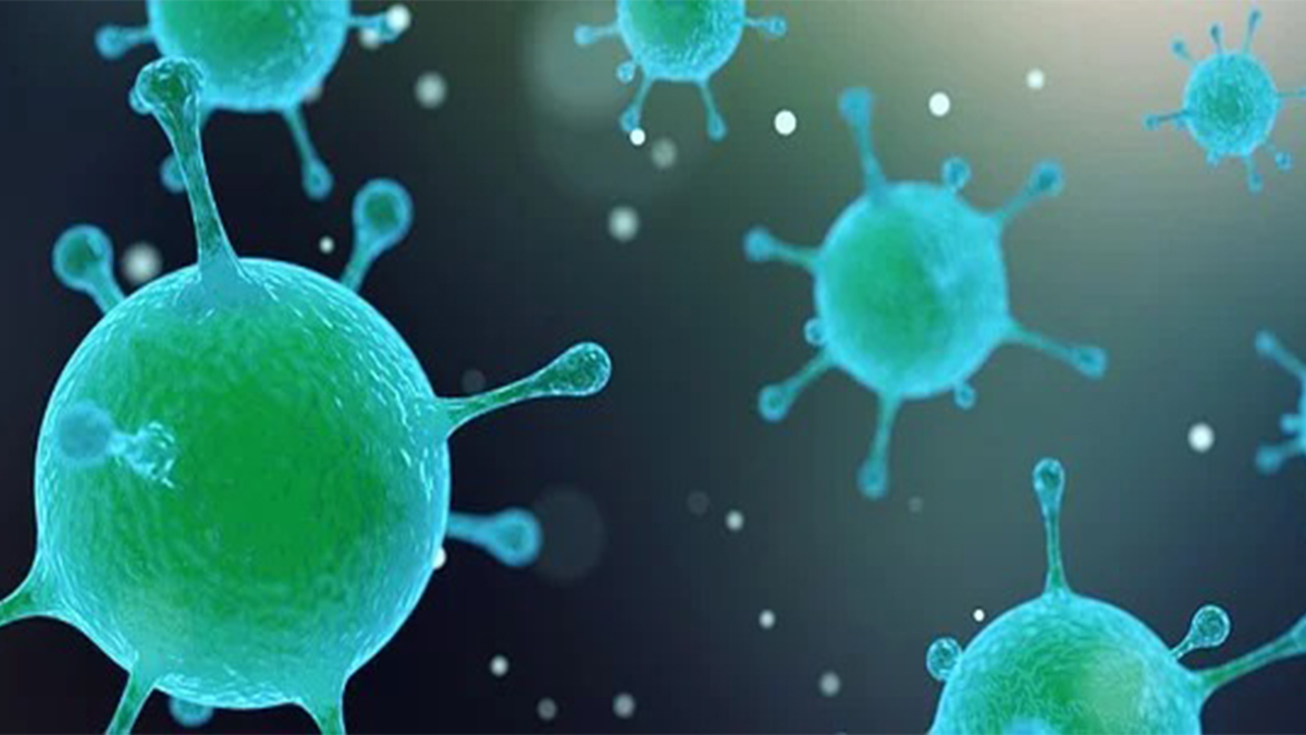 Vírus, baktérium, antibiotikum: mi micsoda?