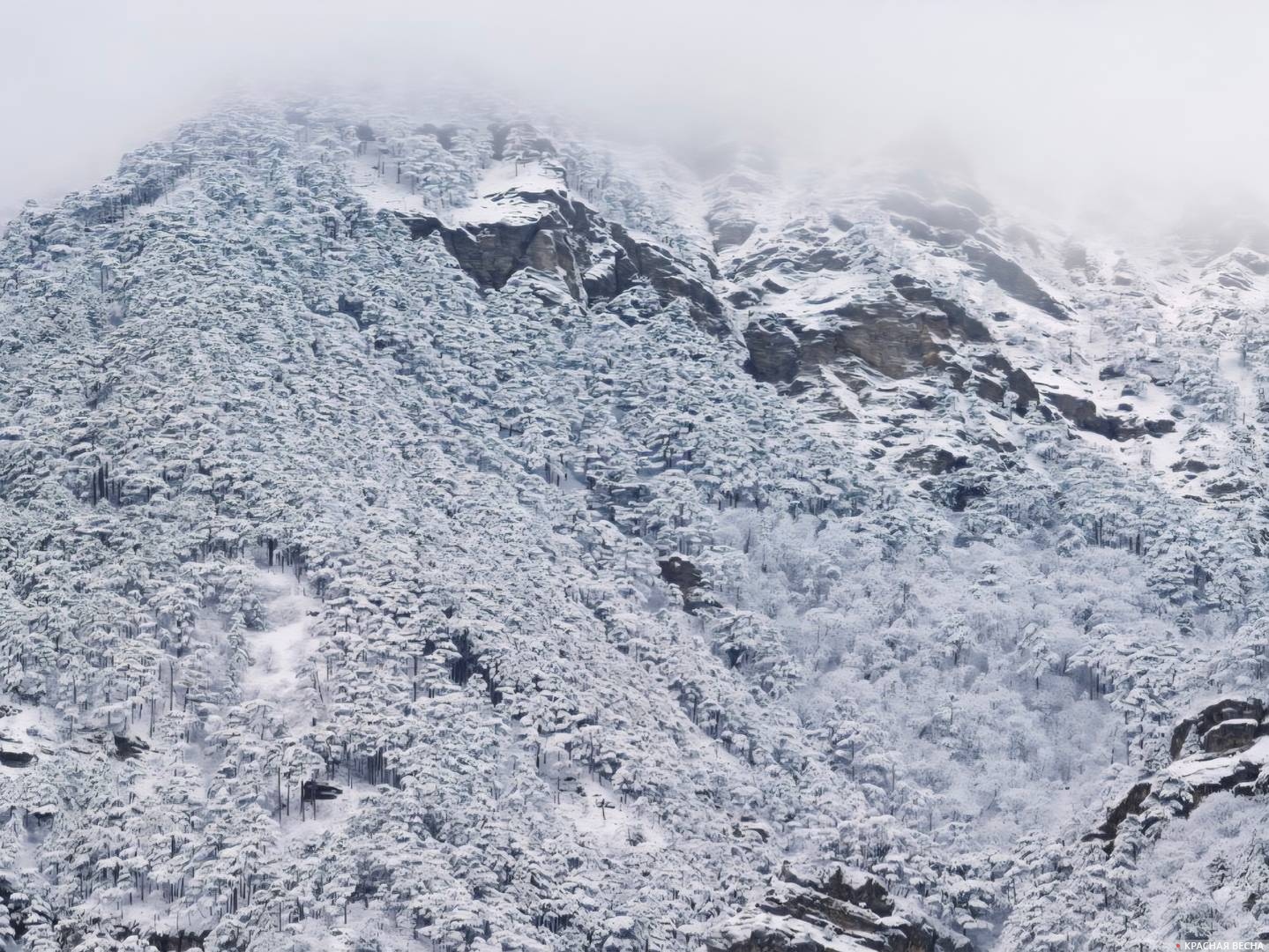Горы в снегу. Крым 