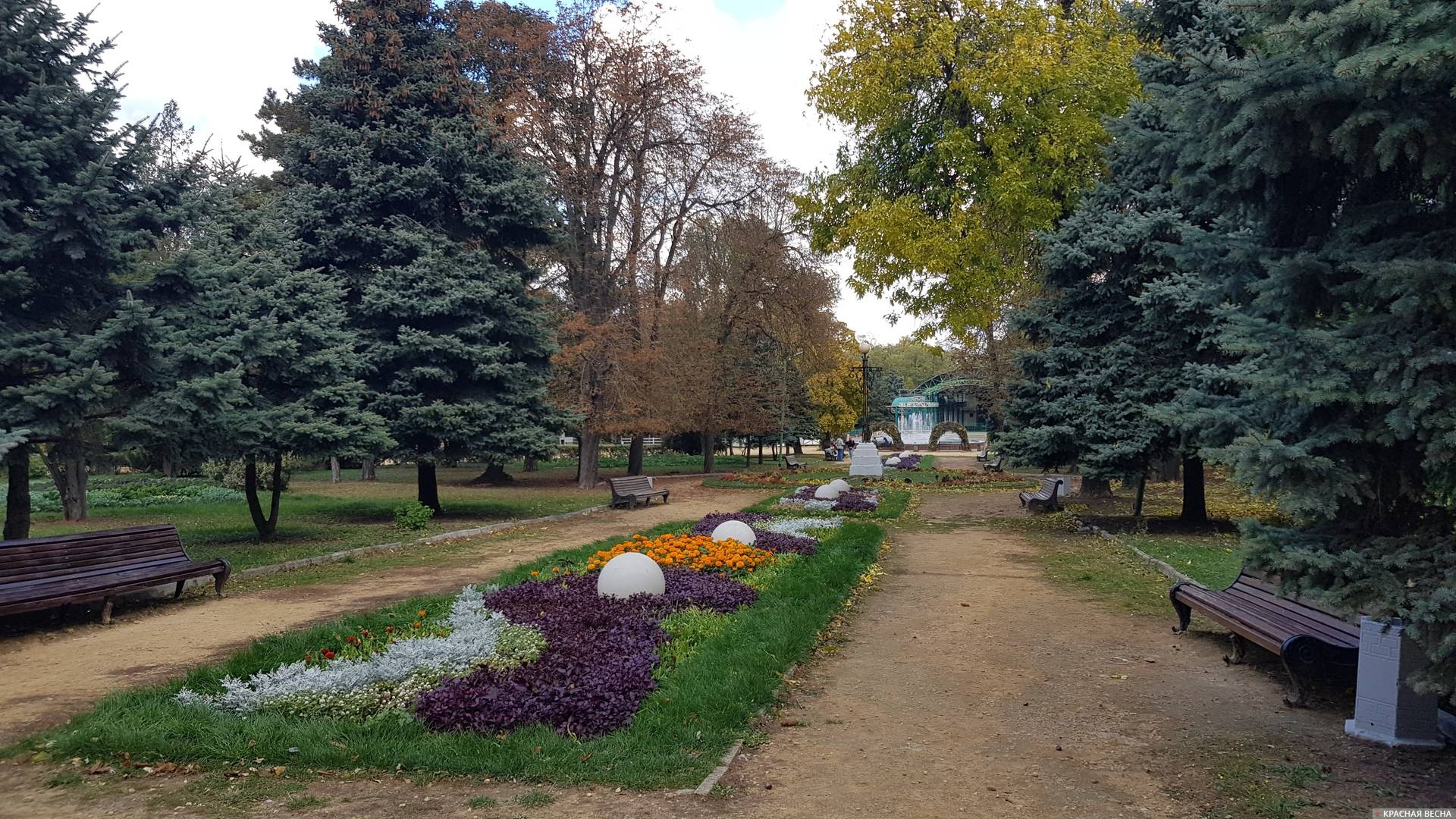 Аллея в парке имени М. Горького в Таганроге