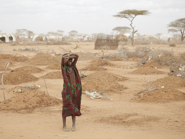 Африка. Засуха 