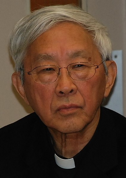 Джозеф Зен на форуме, посвященном интерпретации гонконгских законов Всекитайским собранием народных представителей.