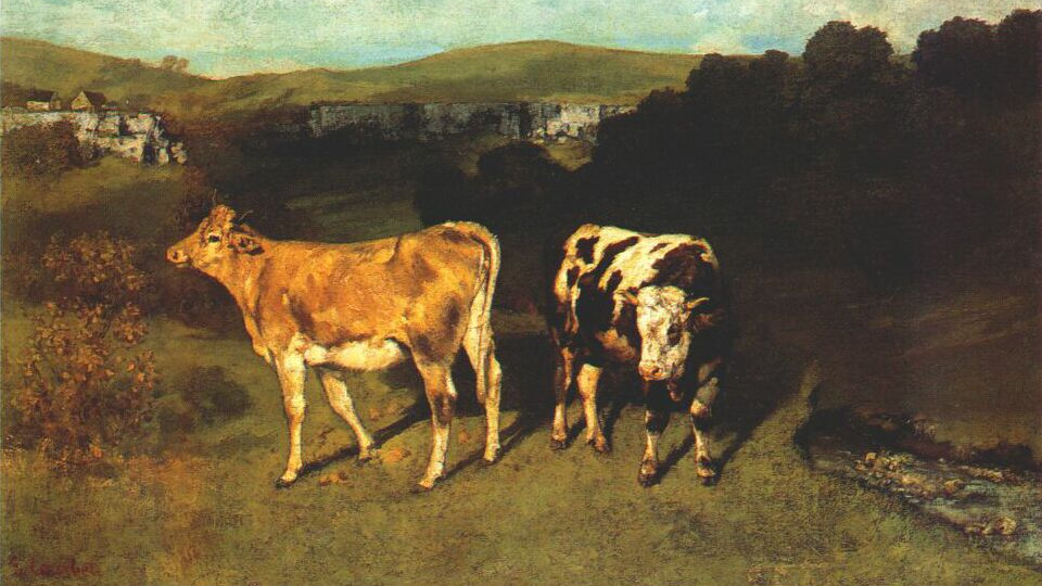 Гюстав Курбе. Белый бык и светлая корова (фрагмент). 1851