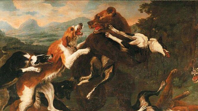 Пауль де  Вос. Травля медведя собаками (фрагмент). 1590-1678