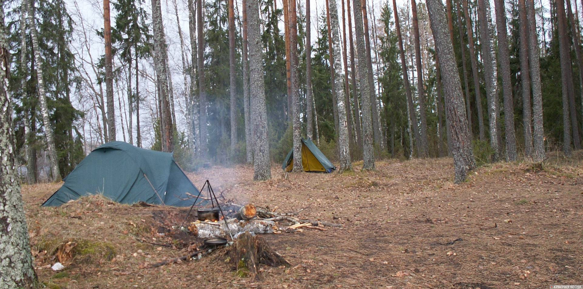 Палатки в лесу