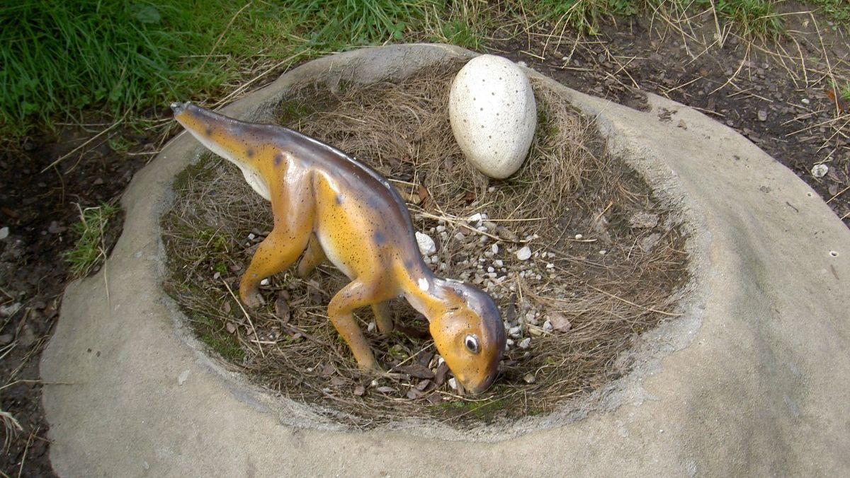 Гнездо динозавра