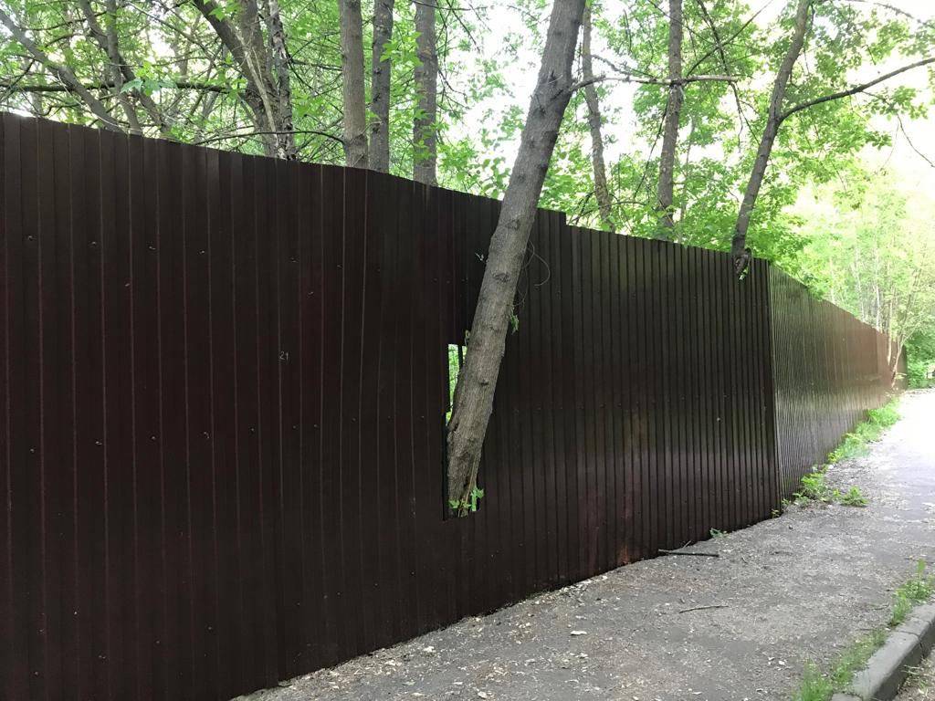 Забор, которым обнесена школа «Горки»