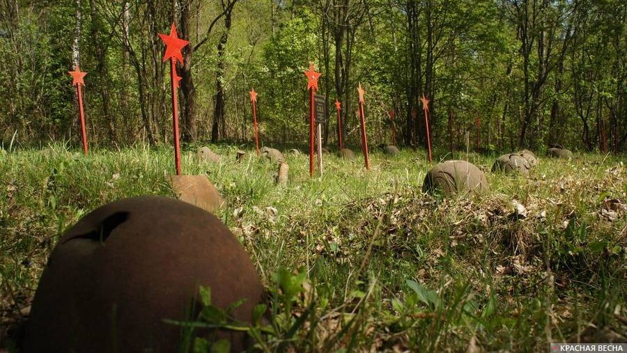 Кладбище советских солдат в лесу. Смоленская область.