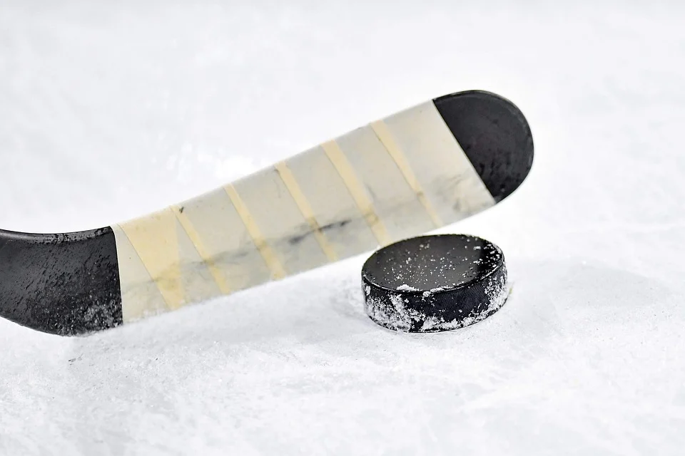 Финляндия выиграла чемпионат мира по хоккею, обыграв Канаду