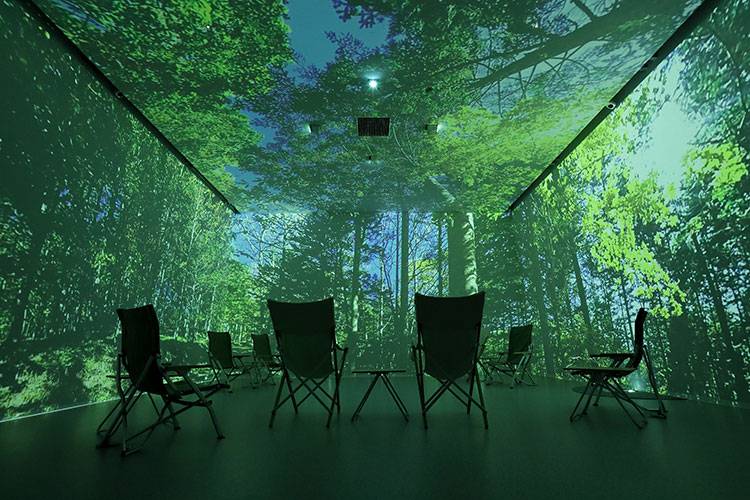 Проекционная комната с панорамными видами леса