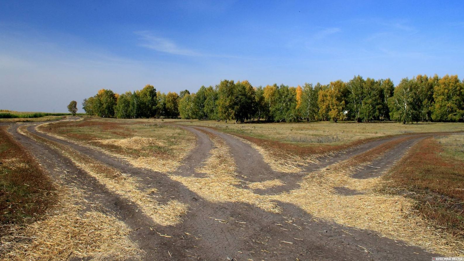 Три дороги