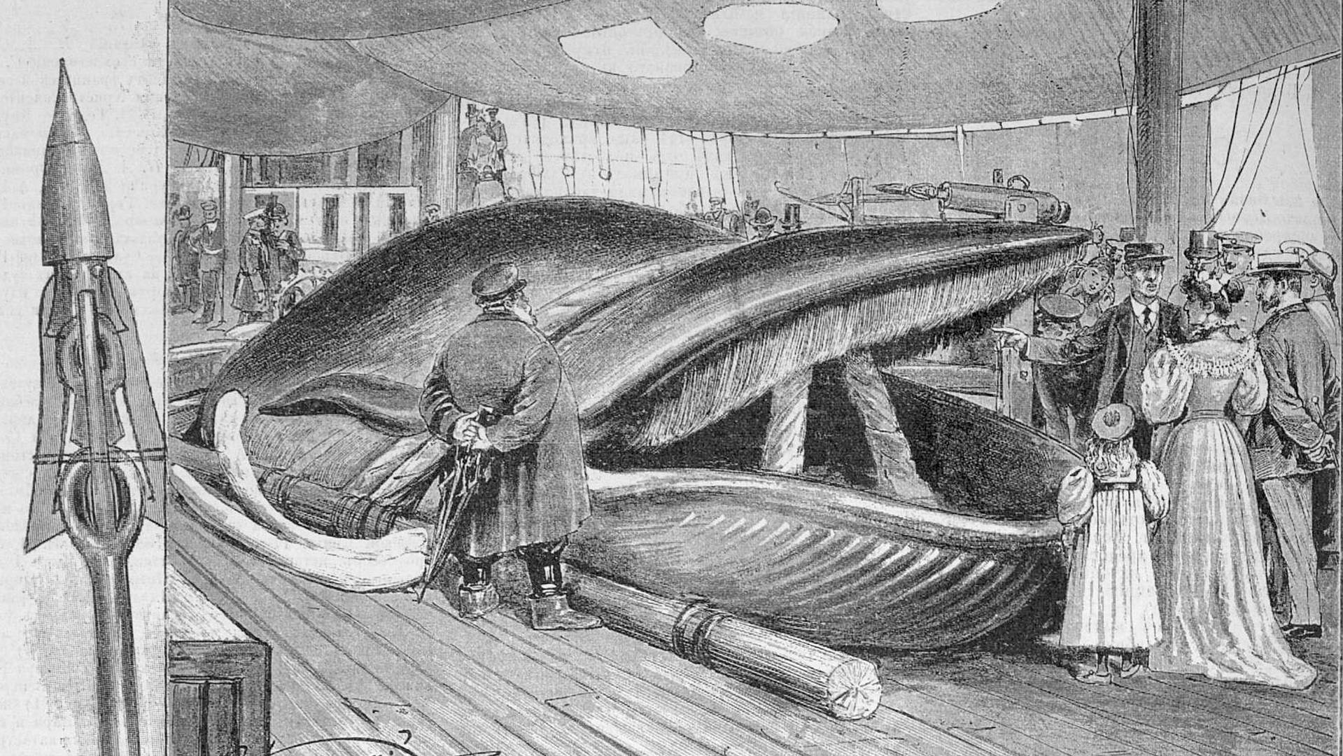 Китовый промысел ворвань