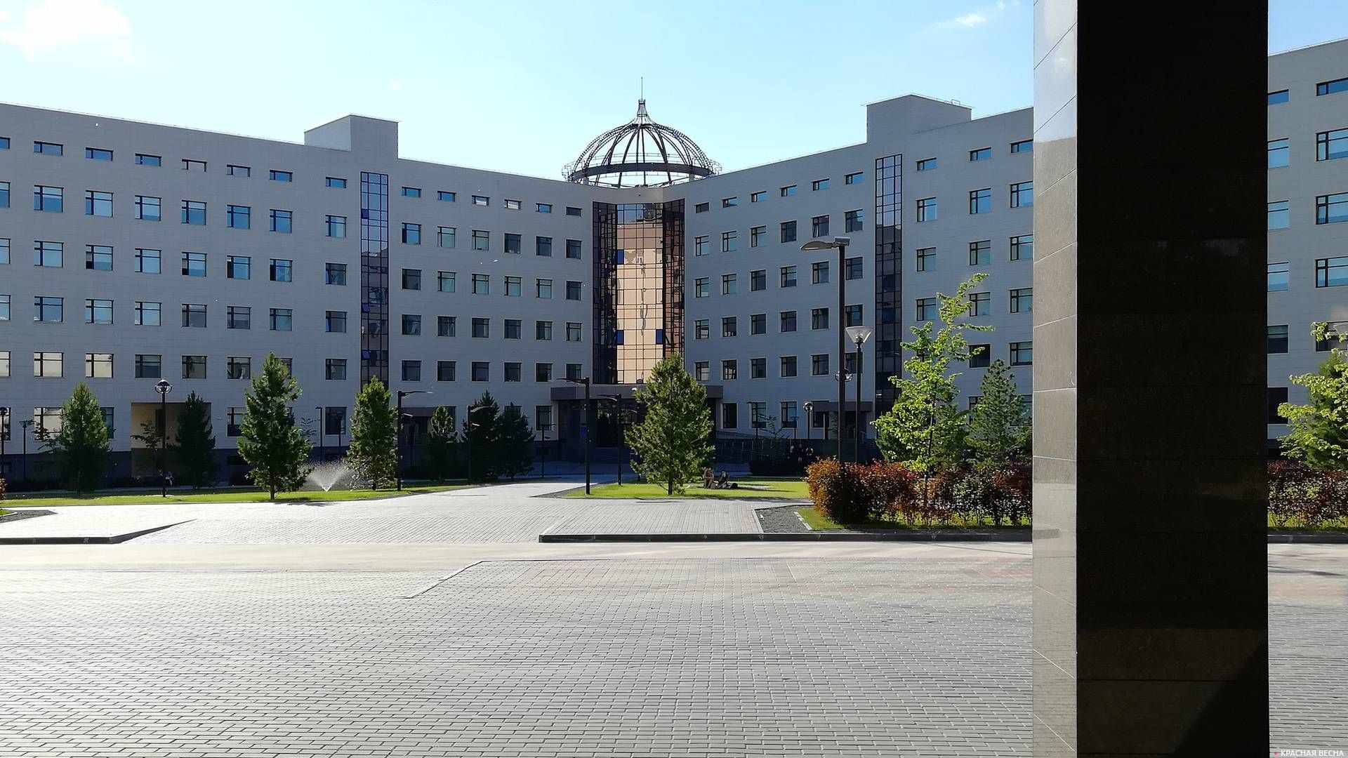 Новосибирский государственный университет (НГУ)
