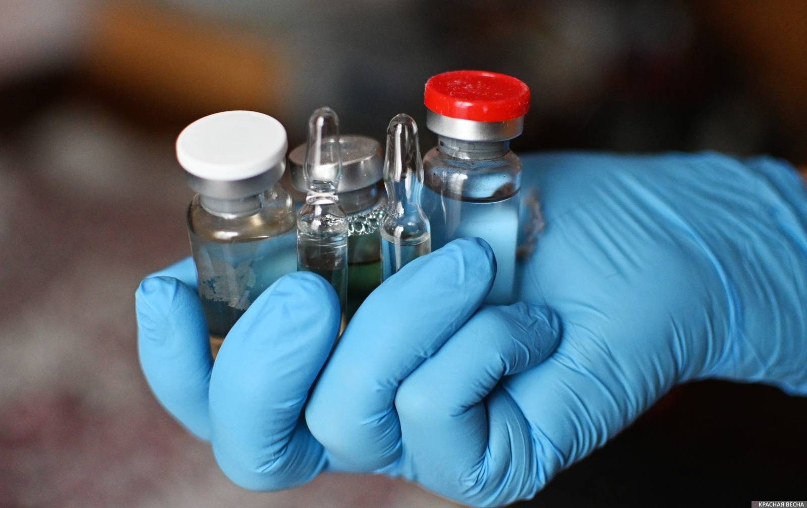 Германия заказала 40 000 доз вакцины против обезьяньей оспы