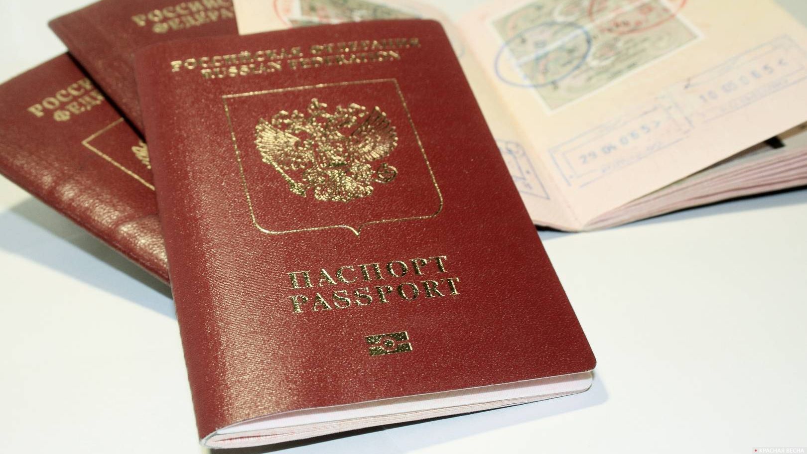 Заграничные паспорта