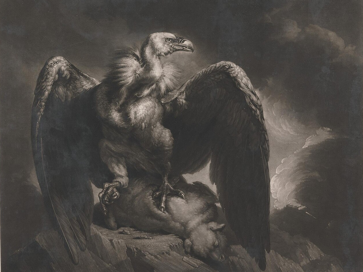 Сэмюэл Уильям Рейнольдс. Стервятник и ягненок. 1799