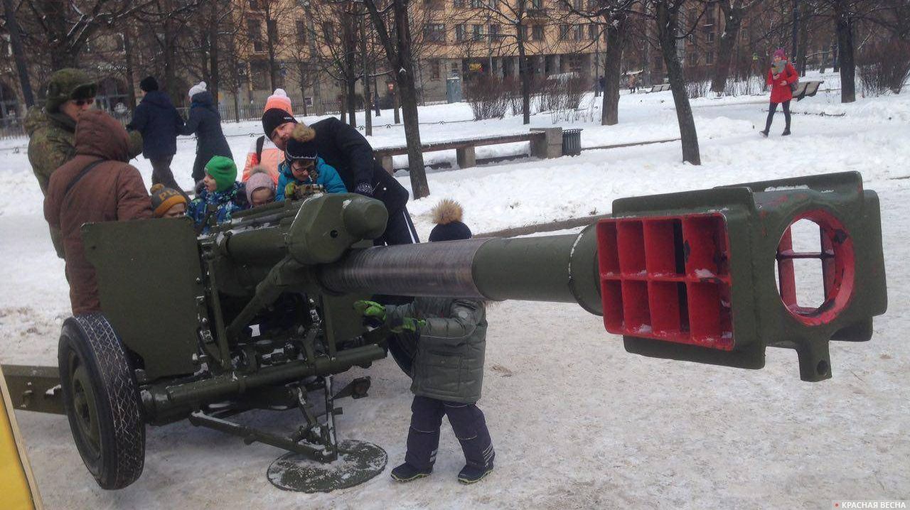 Выставка оружия в Александровском парке. Санкт-Петербург
