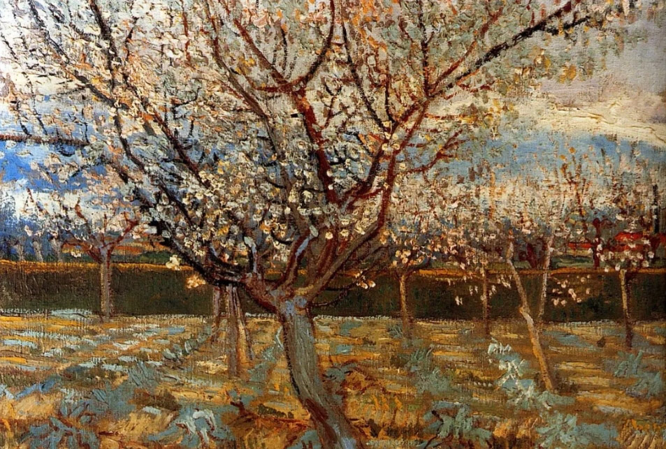 Винсент Ван Гог. Цветущие абрикосы (фрагмент). 1888
