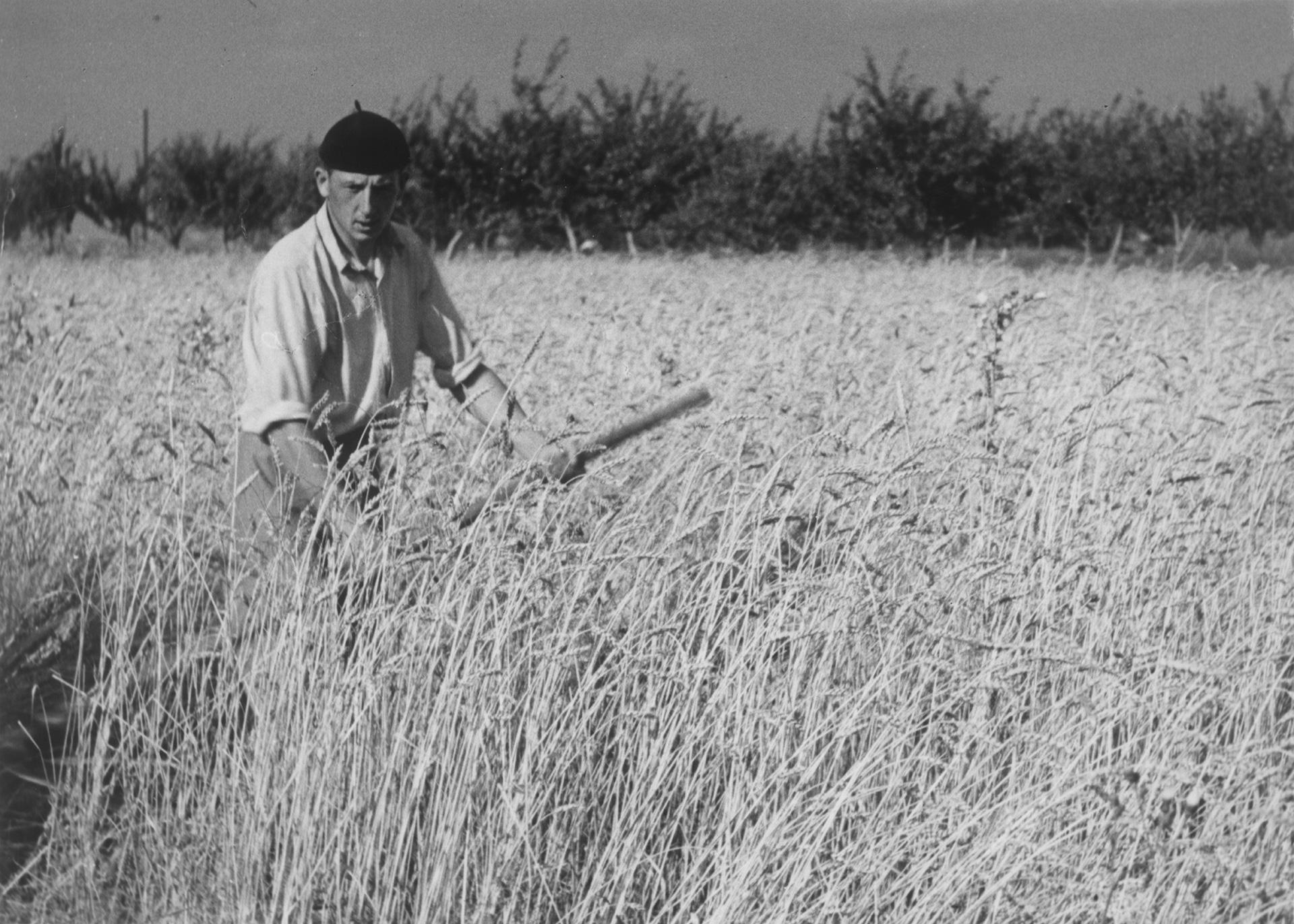 Польский фермер за работой